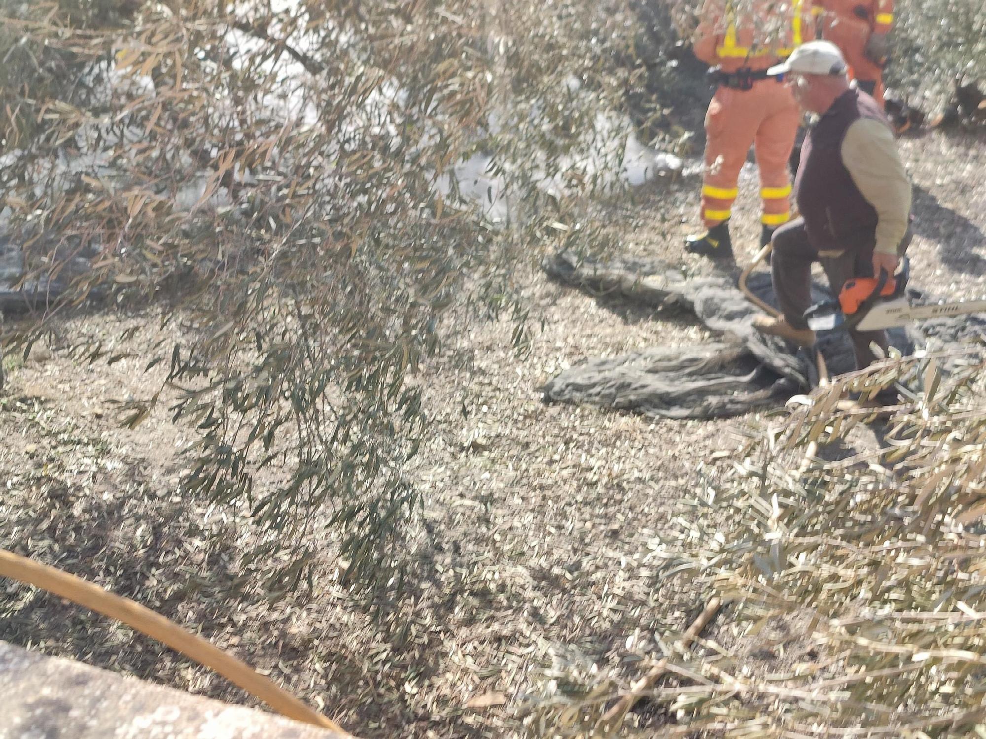 El incendio forestal arrasa con la sierra natural de Terrateig