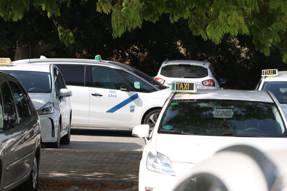 Los taxistas de Málaga se han reunido en los alrededores del Martín Carpena para iniciar una marcha de protesta que les llevará al centro de Málaga.