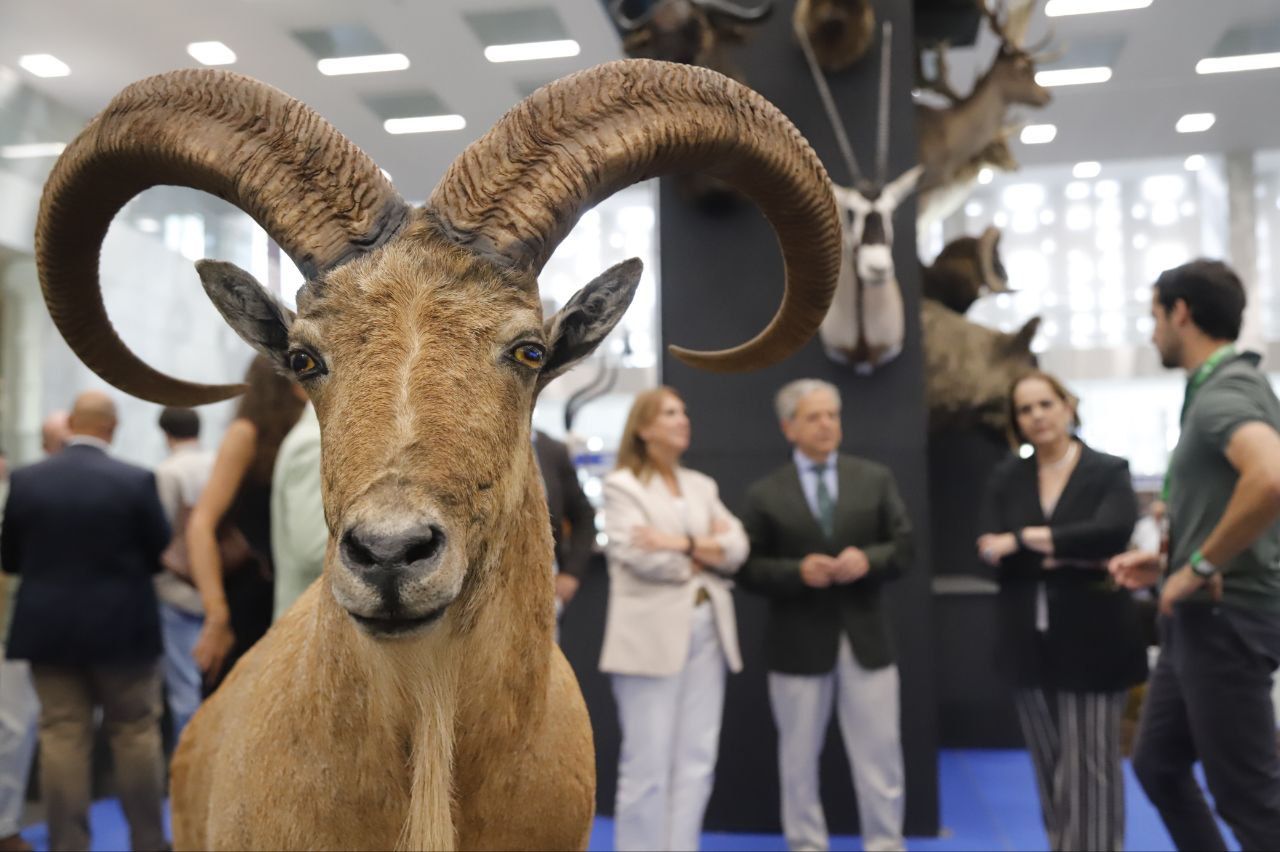 La inauguración de Intercaza 2025, en imágenes