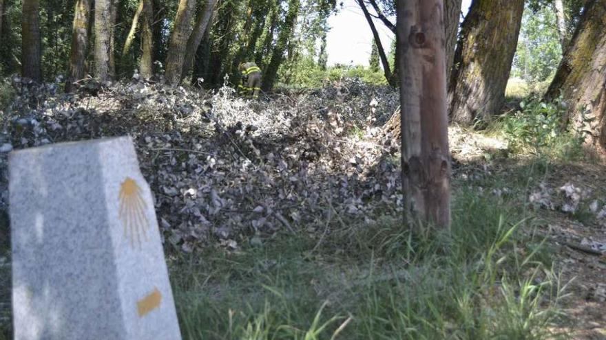 Obras de limpieza en plena Vía de la Plata del Camino de Santiago.