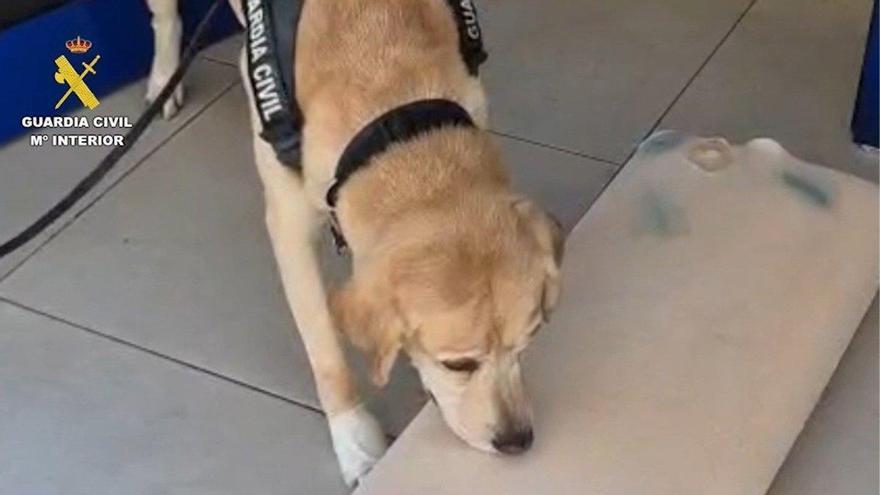 Incautan cocaína impregnada en una almohada en el Puerto de Huelva