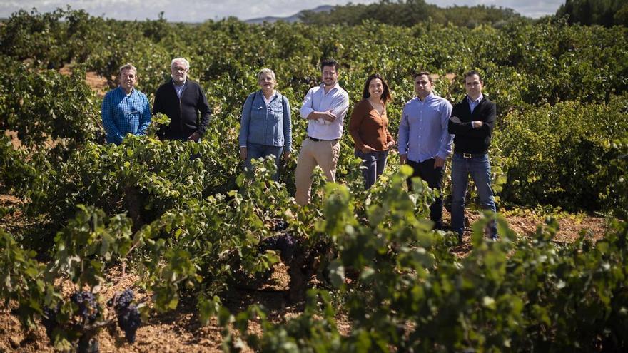 Los bodegueros valencianos confían en que el nombre cava de Requena siga relanzando sus ventas