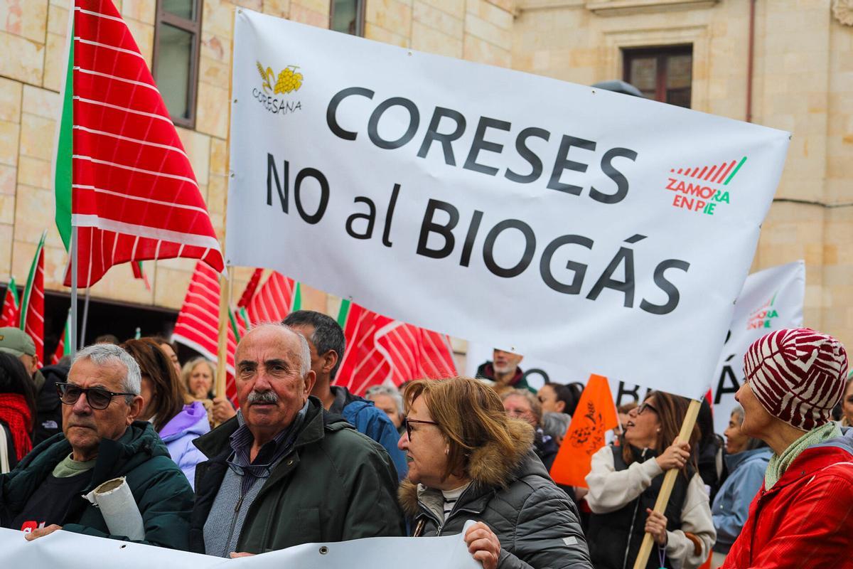 Ni molinos ni biogás: la oposición al nuevo mapa energético convoca a un millar de zamoranos en la capital