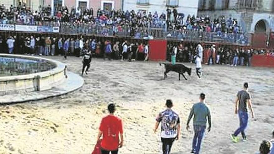 Encierro limpio y capeas en la plaza Mayor de Trujillo