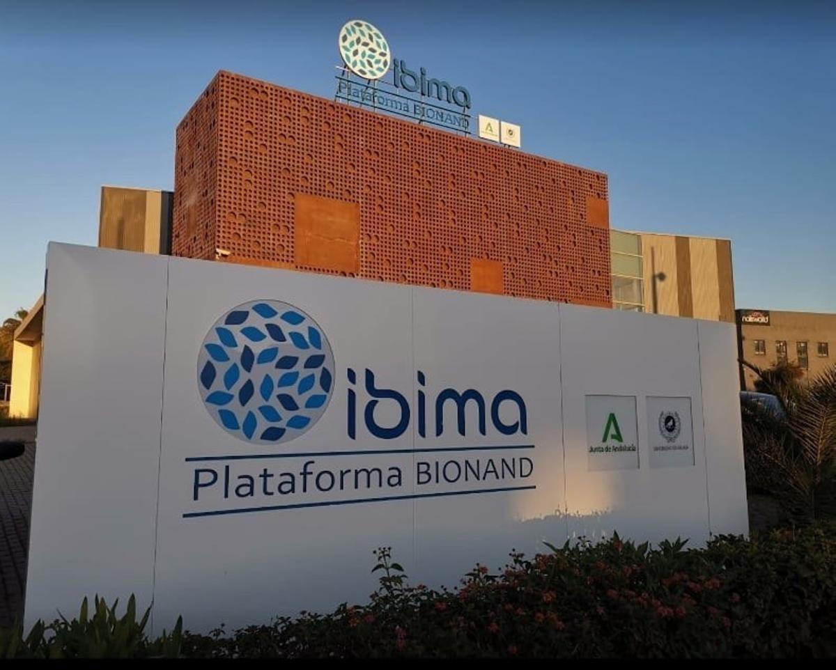 Ibima en una imagen de archivo