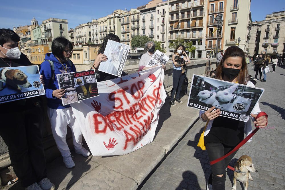 Concentració a Girona per reclamar l'alliberament dels animals de Vivotecnia de Madrid