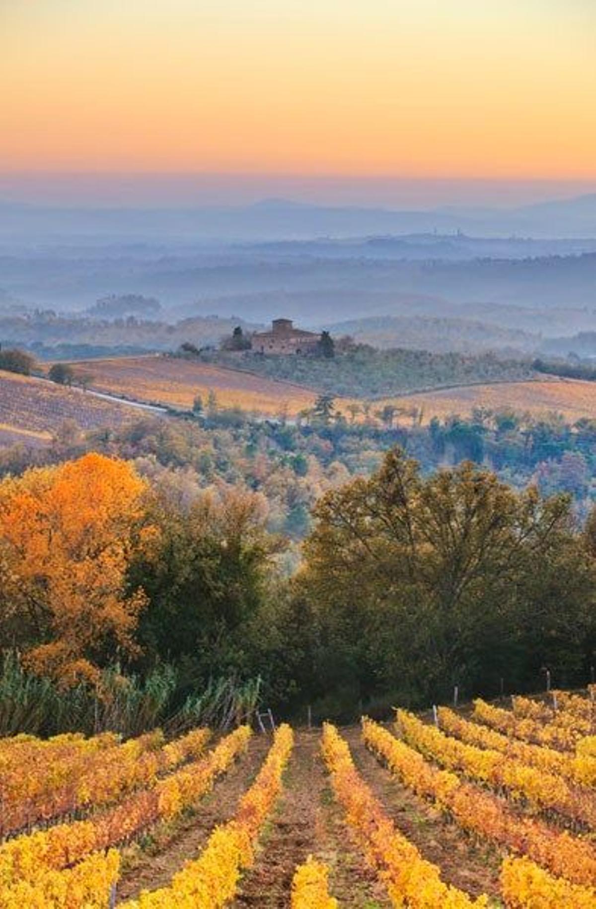 Viñedos de Chianti en la Toscana italiana.