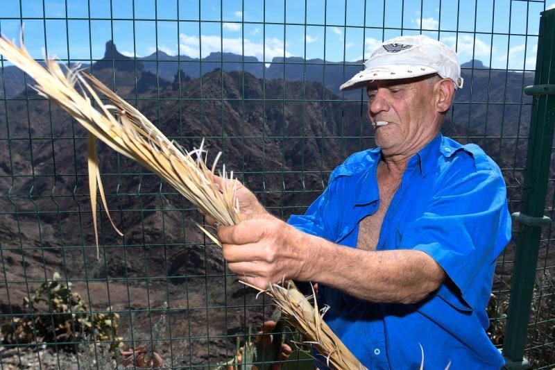 15-10-19 SUPLEMENTOS. ZONA CUMBRERA. ZONA CUMBRERA. Reportaje zonas quemadas tras dos meses. Reportaje triple entrega sobre el paisaje quemado, al cumplirse dos meses. La primera parte será Los tesosos de la Cumbre, en plan más positivo, con los brotes verdes, lugares que visitar. Un segundo con los héroes sin capa, sus protagonistas y una tercera con Lo que el fuego se llevó o Lo perdido, la parte más triste.  Fotos: Juan Castro.  | 15/10/2019 | Fotógrafo: Juan Carlos Castro