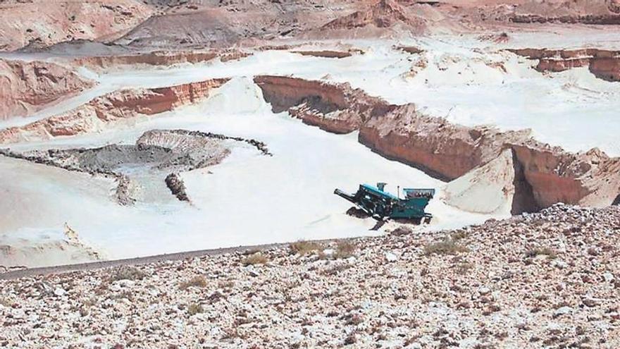 El TSJC avala el rechazo a extraer arena en una zona de aves protegida en Fuerteventura
