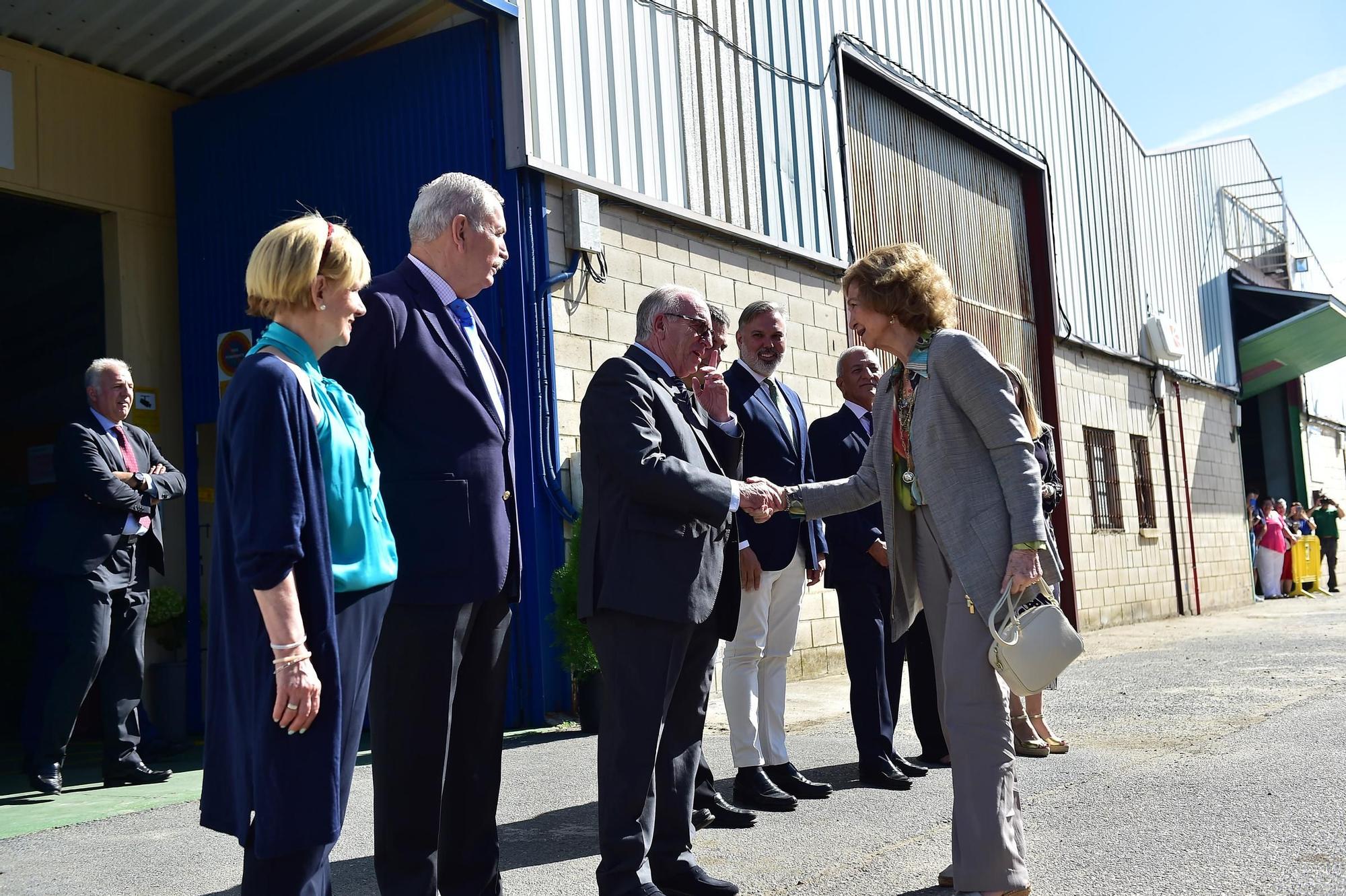 GALERÍA | Visita de la Reina emérita al Banco de Alimentos de Plasencia