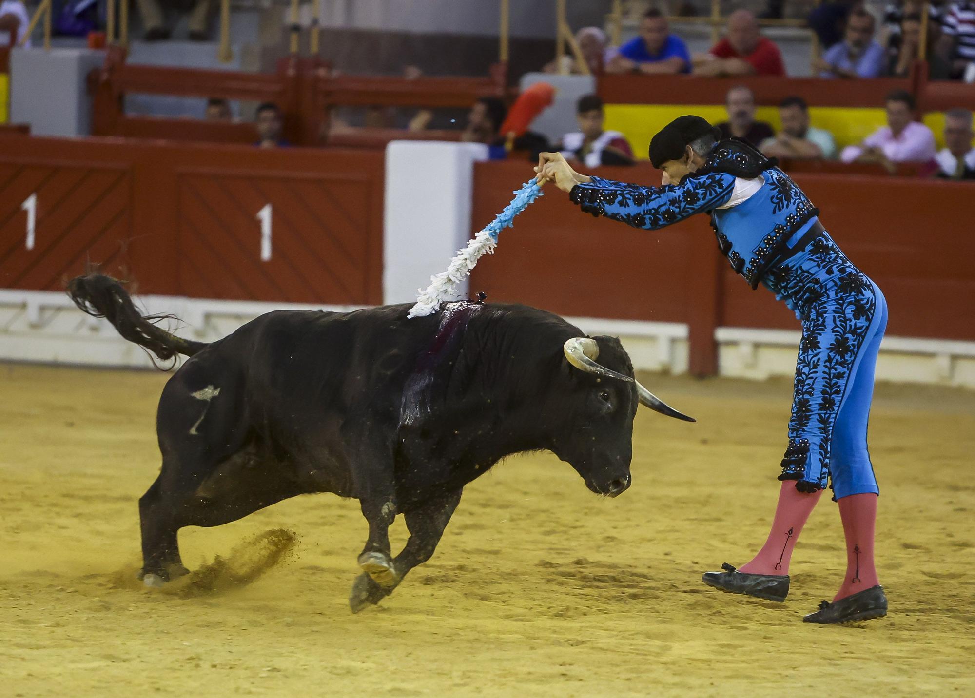 Novillada de Zacarías Moreno para cerrar la Feria de Hogueras