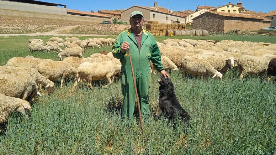 El problema de la lana: entre la necesidad, el estorbo y la falta de soluciones
