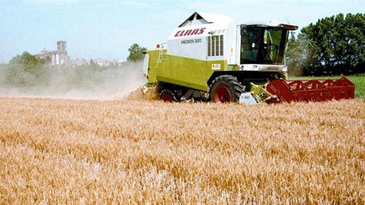 Recolección 8Una cosechadora trabaja en un campo de trigo de Castelló d'Empúries (Girona).