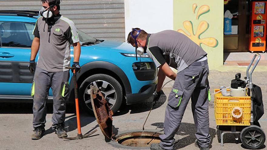 Profesionales aplicando las medidas contra las plagas en el Port de Sagunt.