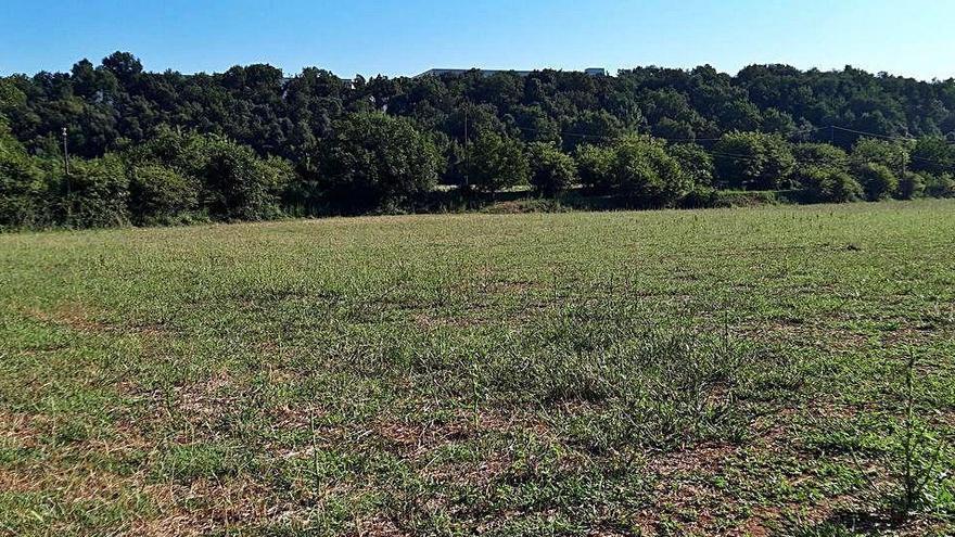 El Consell de la Garrotxa canvia el pla de la planta de residus de Sant Jaume