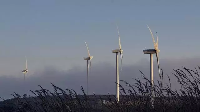 Transición Ecológica pincha la burbuja de los grandes parques eólicos en Galicia tras tumbar una treintena por su impacto