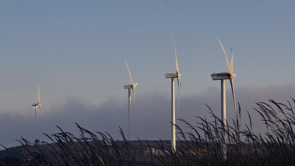 Aerogeneradores de un parque eólico en Galicia.