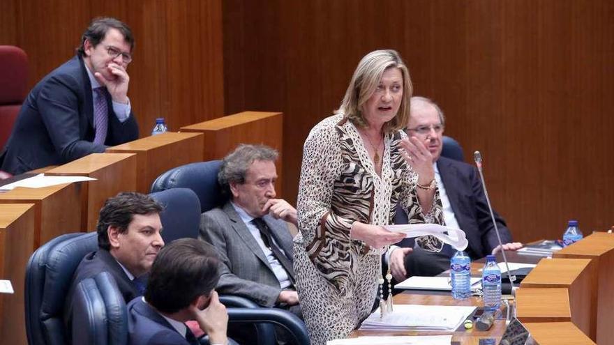 Pilar del Olmo, durante su intervención en el Pleno de las Cortes.