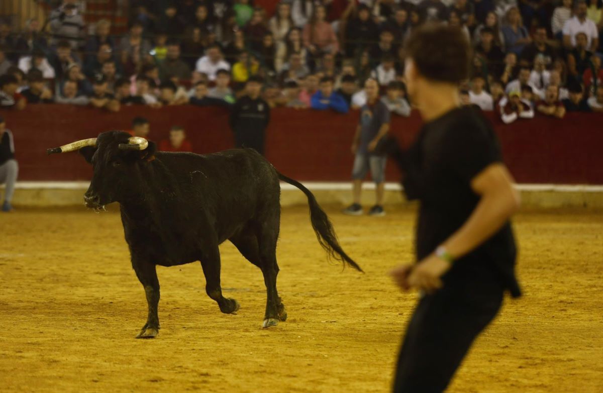 En imágenes | Vaquillas en la plaza de toros