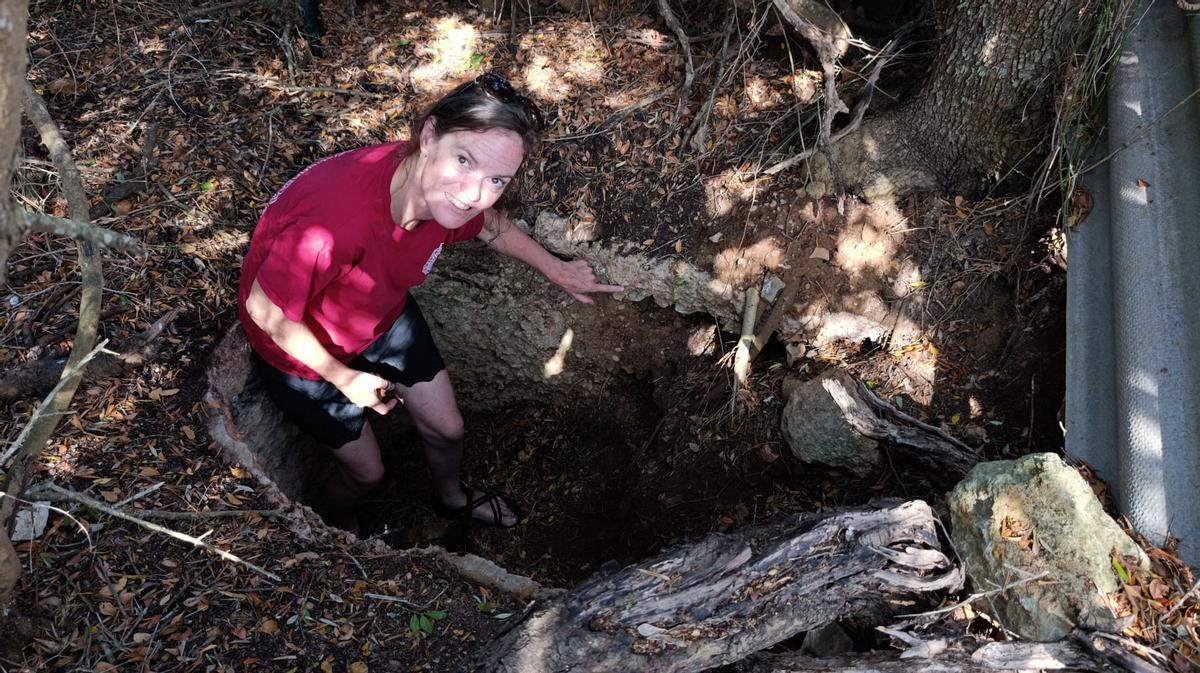 FOTOS | Las excavaciones en Son Sard de Son Servera, en imágenes
