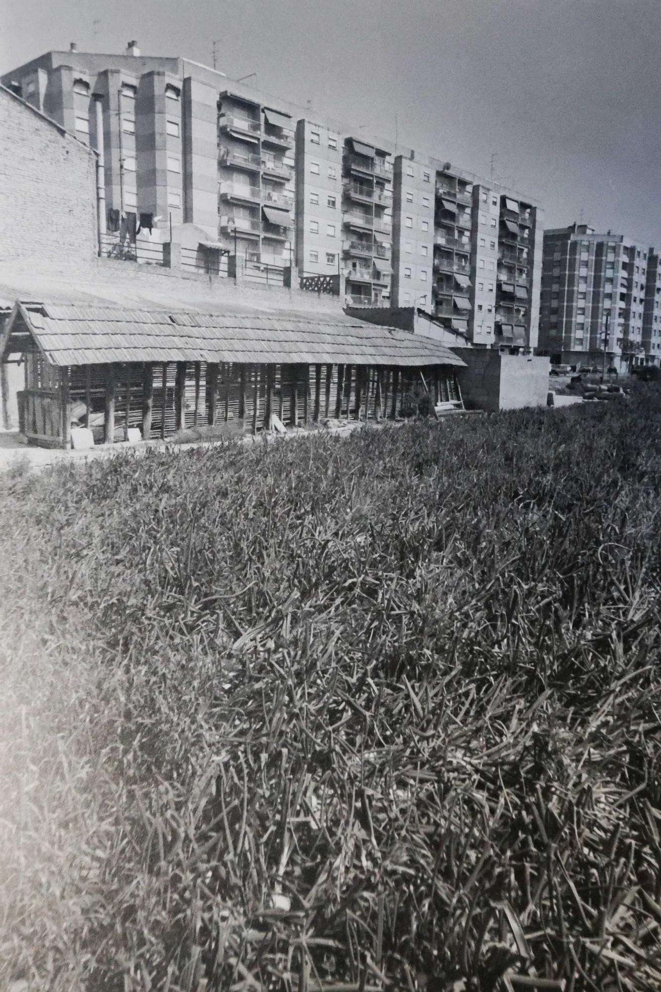 La Valencia desaparecida: Todo esto antes era huerta