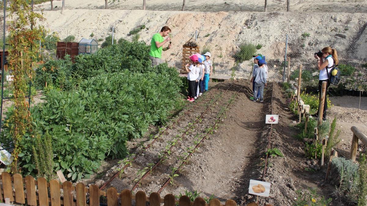 Coronavirus en Córdoba: La asociación Mejorana pide ampliar los huertos familiares de Lucena