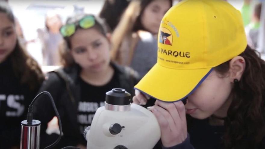 La educación ambiental alcanza a 42.000 estudiantes en Canarias durante el último curso
