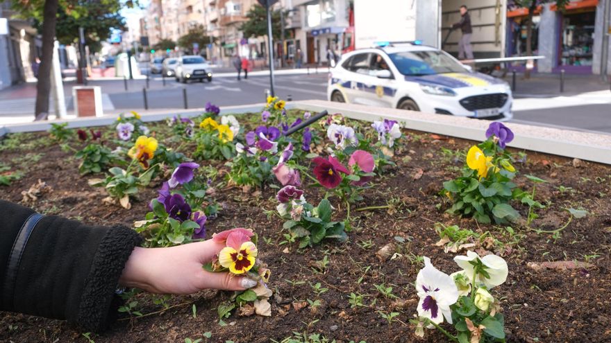 Arrancar flores en Elda cuesta 750 euros