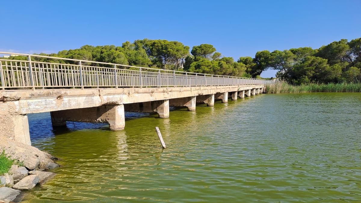 Puente de la Gola de Pujol