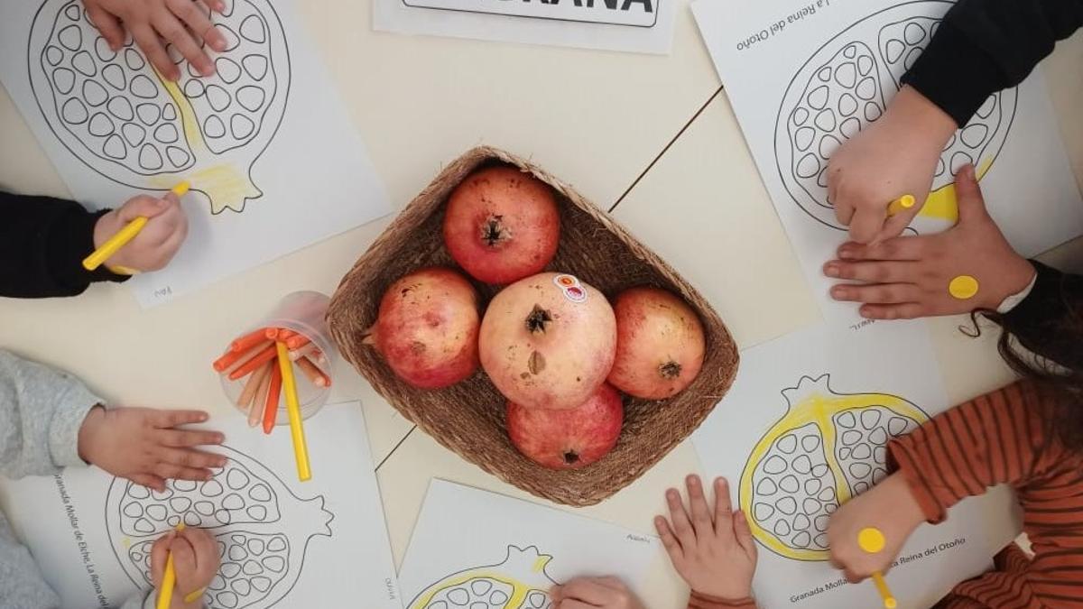 Les saludables i boníssimes magranes