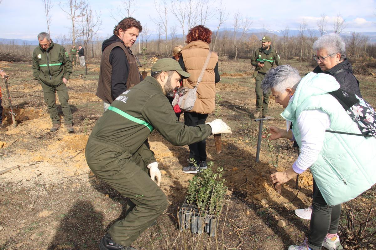 GALERÍA | Día del Árbol en La Carballeda GALERÍA | Día del Árbol en La Carballeda