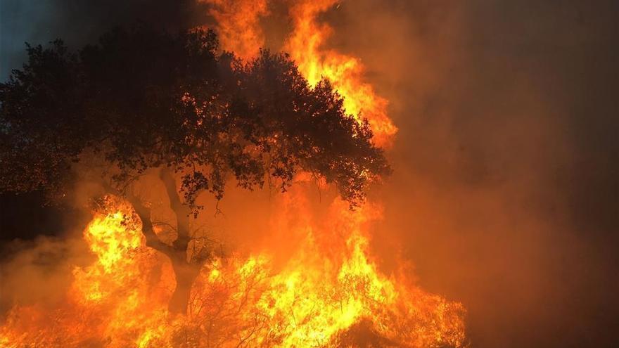 Los bomberos sofocan un incendio en el campo de San Isidro de la capital pacense