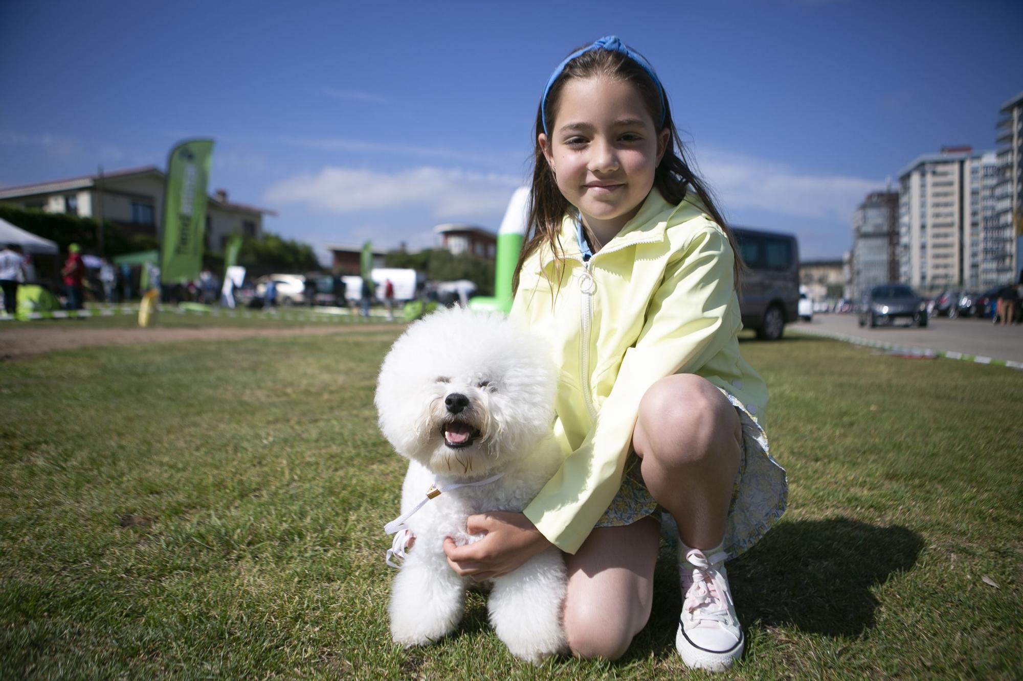 En imágenes: así fue el campeonato de surf para perros en Salinas