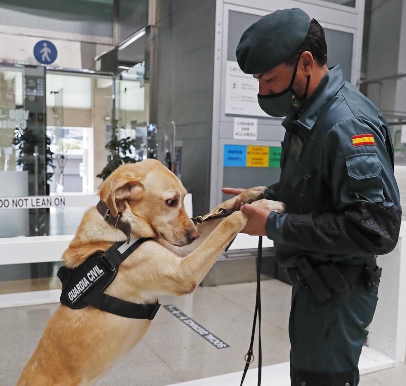 El jefe del grupo Cinológico Fran Varela, con Homer, en la Estación Marítima de Vigo. 