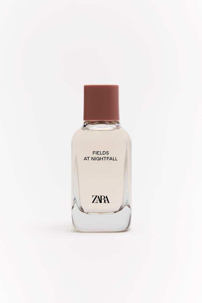 Fields at Nightfall de Zara