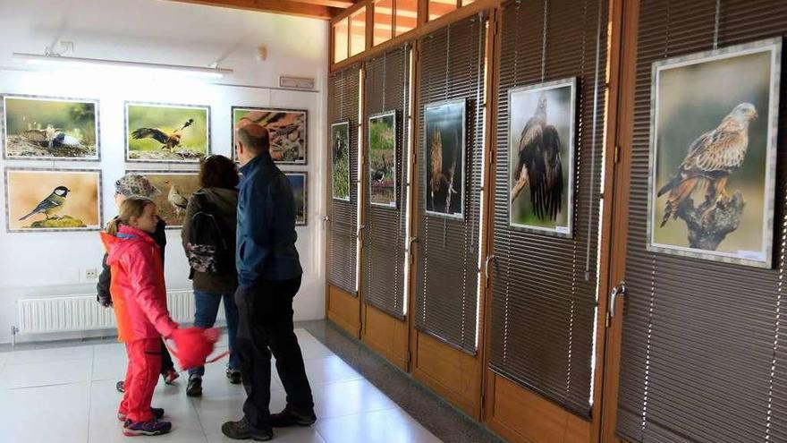 Una familia observa una exposición fotográfica sobre aves en la Casa del Parque de Fermoselle.