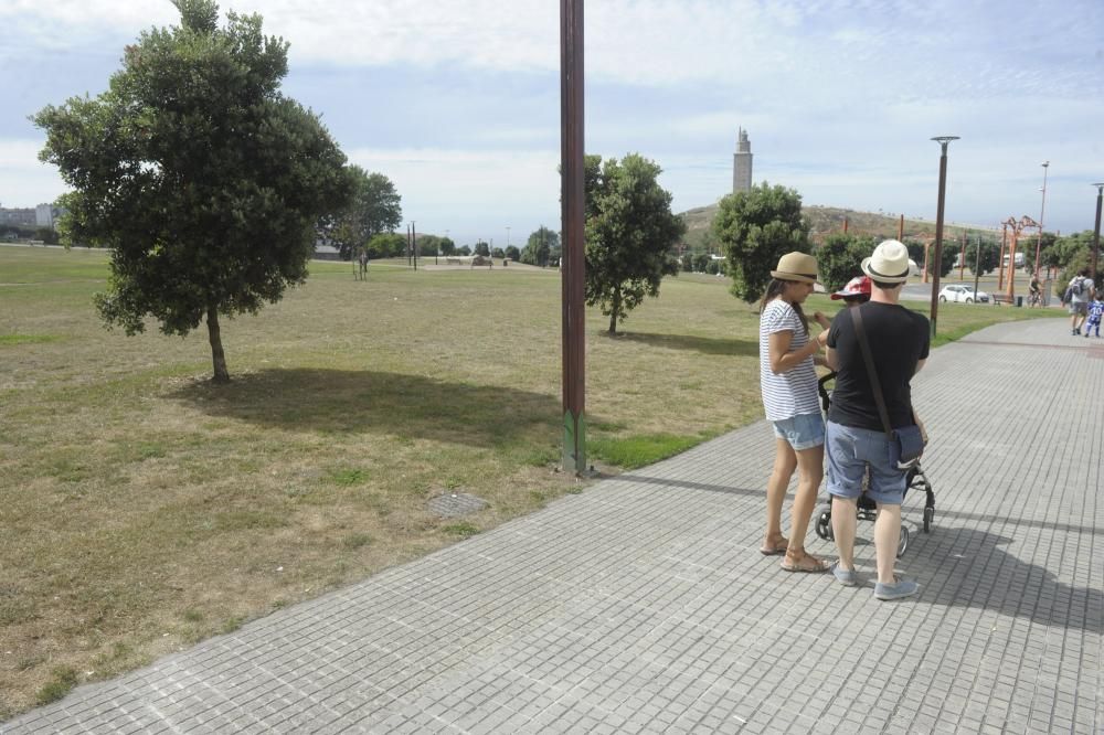 Huertos con sello propio junto a la Torre