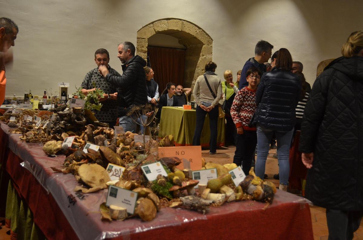La Exposición Micológica de Benavente, en imágenes