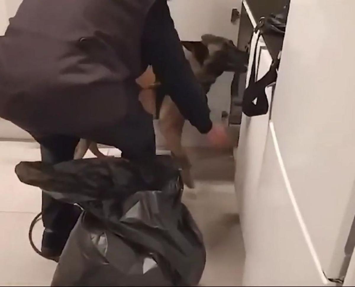 Un pis de luxe a BCN servia d’‘escola de jardiners’ de maria