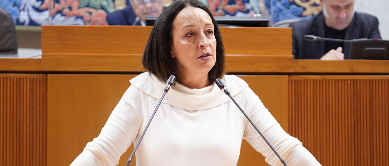 La portavoz de Hacienda del PP, Mamen Susín califica de &quot;mini&quot; la reforma fiscal del Gobierno de Aragón.