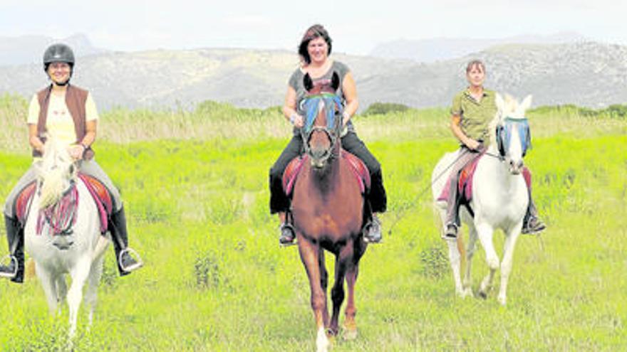 Die Reitgruppe vor Schilf- und Tramuntanalandschaft in der Nähe des Naturparks s´Albufera.