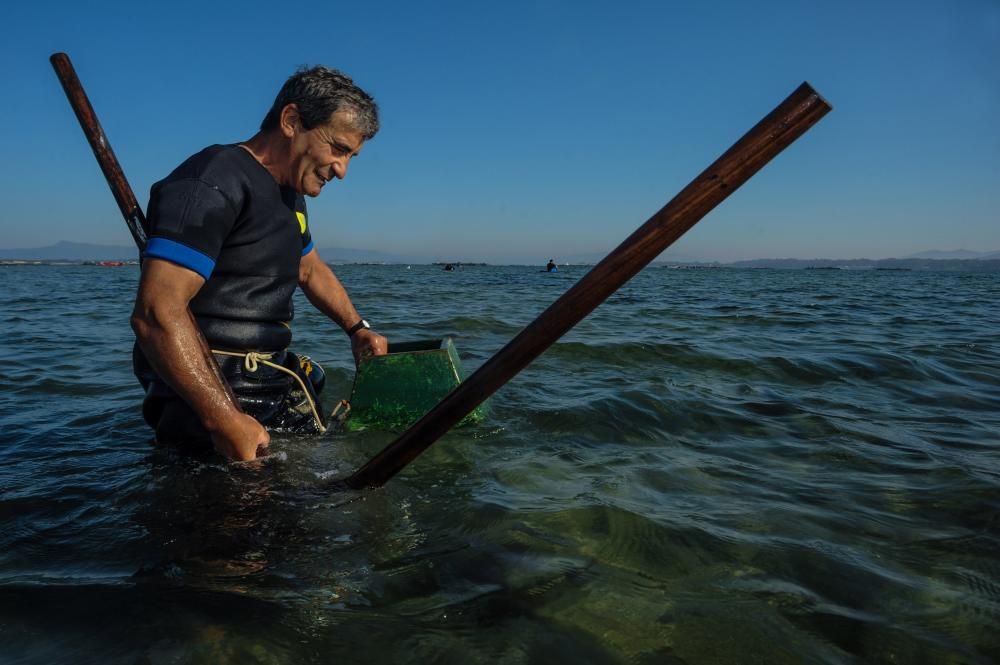 El marisqueo también genera turismo