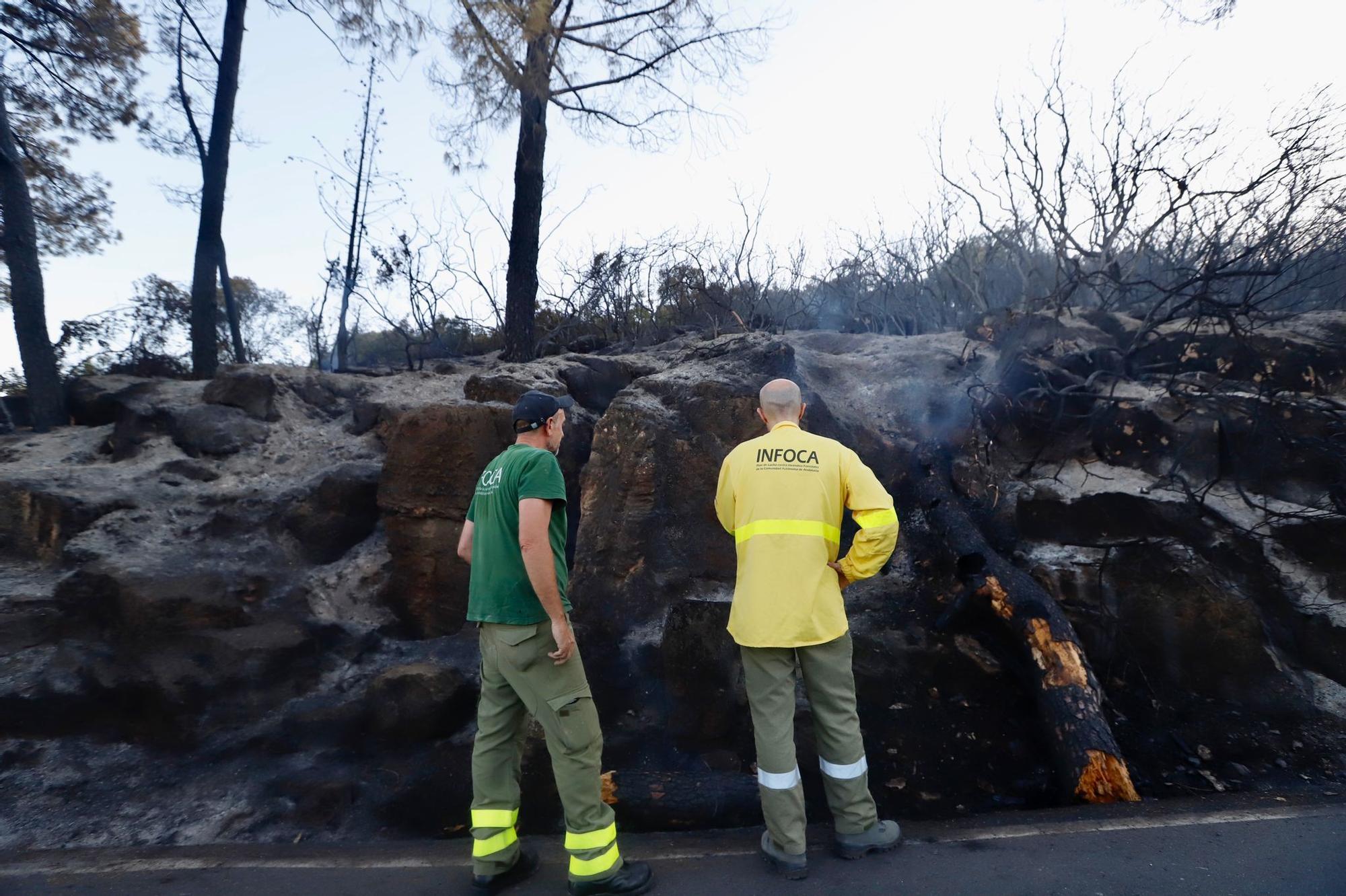 Así ha quedado la "zona cero" del incendio forestal en la sierra de Córdoba