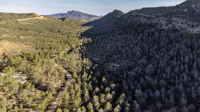 Zona denominada la Rajica de Enmedi,  en Jumilla. | CARM