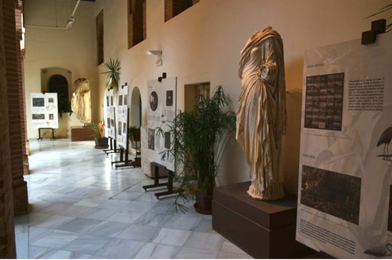 Una imagen de archivo el Museo arqueológico de Badajoz / Junta de Extremadura