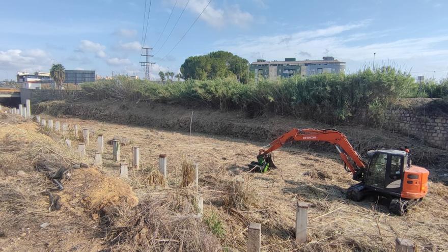 La eliminación de cañas "amplía" el cauce del barranco de la Casella