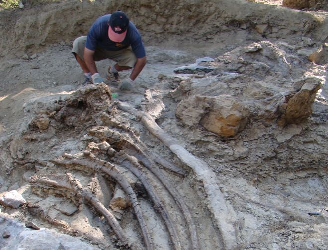 Hallazgos de dinosaurios gigantes en Morella