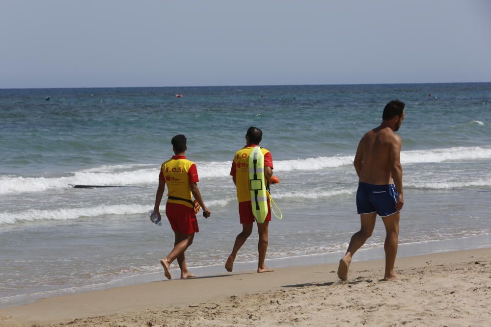 Un tiburón muerde a un bañista en Arenales del Sol