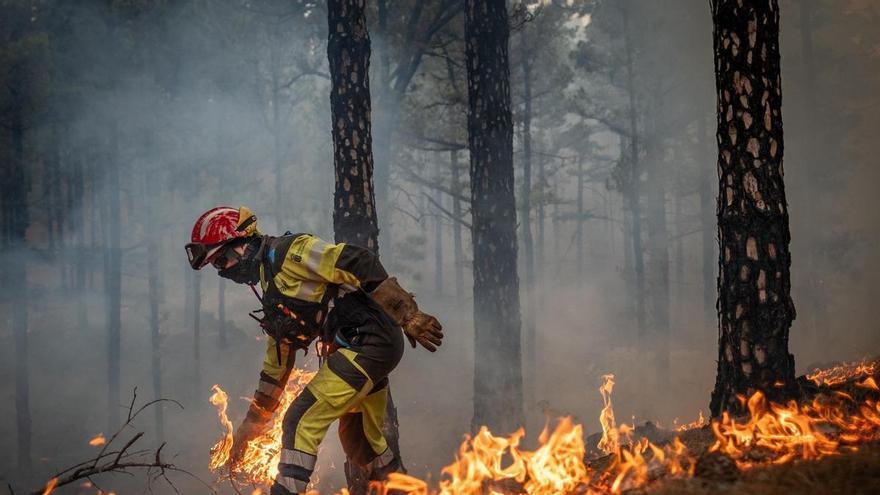 Estas son todas las prohibiciones por la alerta de incendios en Gran Canaria: fuego, caza y acceso a montes