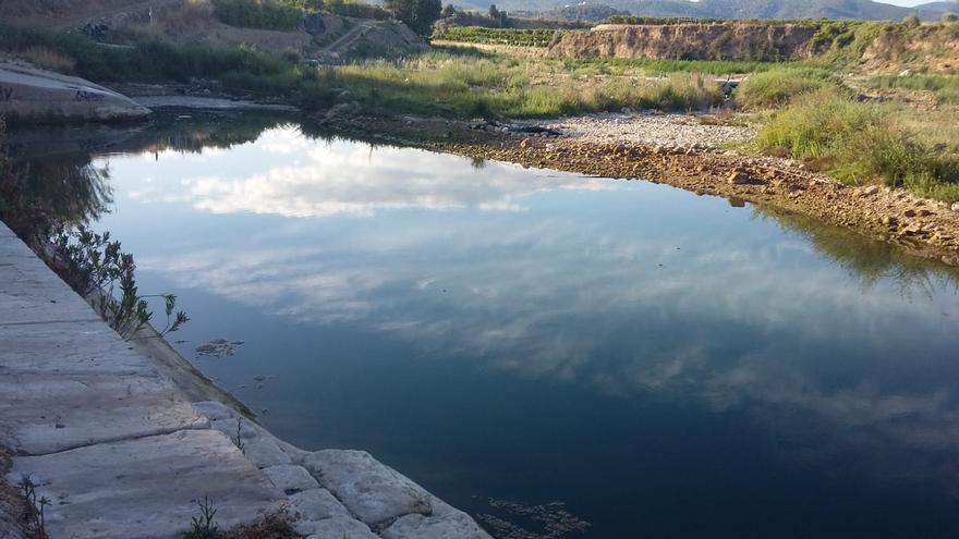 La peor sequía en el Serpis desde 2016 mata los ecosistemas fluviales